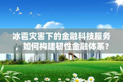 冰雹灾害下的金融科技服务，如何构建韧性金融体系？