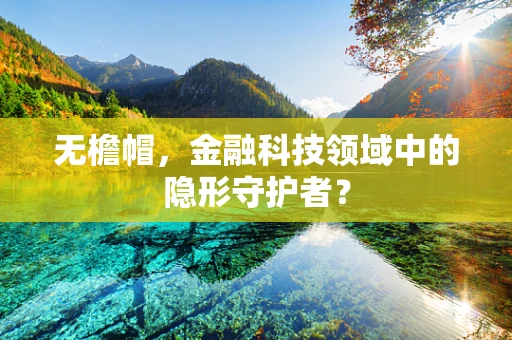 无檐帽，金融科技领域中的隐形守护者？