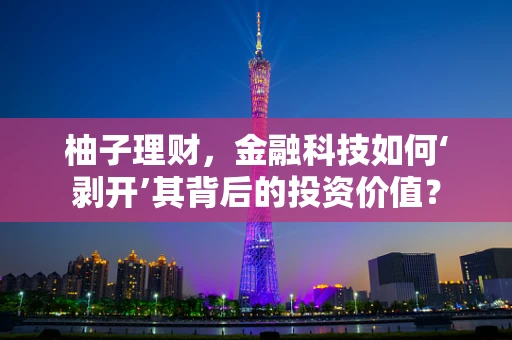 柚子理财，金融科技如何‘剥开’其背后的投资价值？