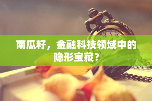 南瓜籽，金融科技领域中的隐形宝藏？