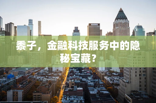 黍子，金融科技服务中的隐秘宝藏？