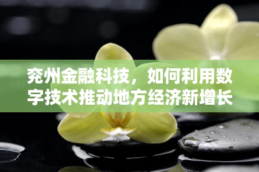 兖州金融科技，如何利用数字技术推动地方经济新增长？