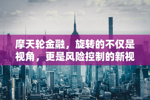 摩天轮金融，旋转的不仅是视角，更是风险控制的新视角？