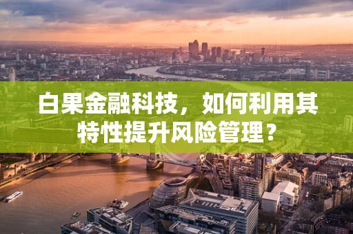 白果金融科技，如何利用其特性提升风险管理？