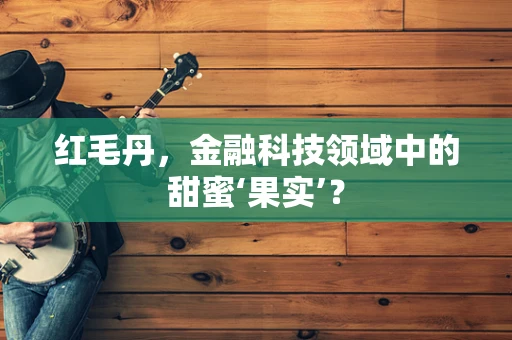 红毛丹，金融科技领域中的甜蜜‘果实’？