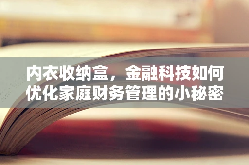 内衣收纳盒，金融科技如何优化家庭财务管理的小秘密？