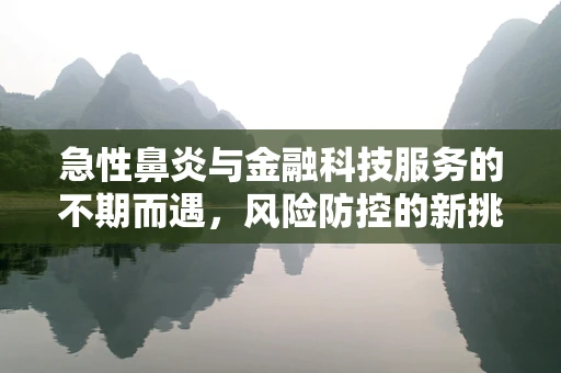 急性鼻炎与金融科技服务的不期而遇，风险防控的新挑战？
