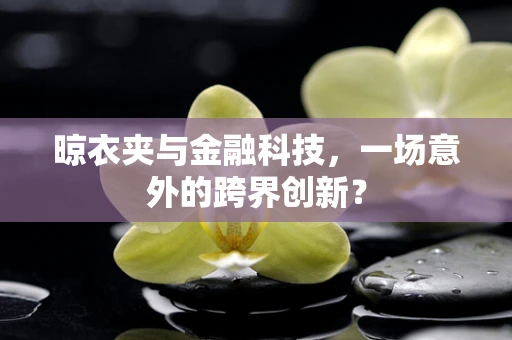 晾衣夹与金融科技，一场意外的跨界创新？