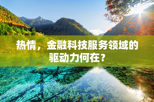 热情，金融科技服务领域的驱动力何在？