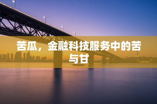 苦瓜，金融科技服务中的苦与甘