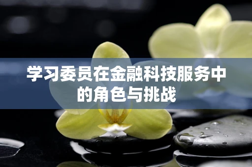 学习委员在金融科技服务中的角色与挑战