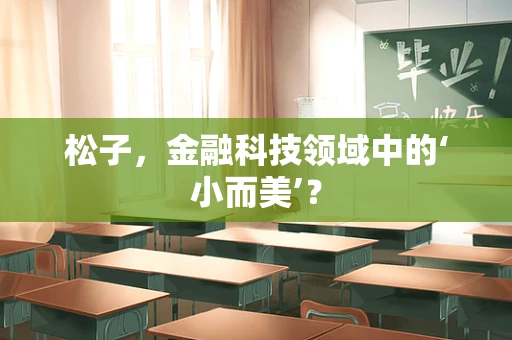 松子，金融科技领域中的‘小而美’？