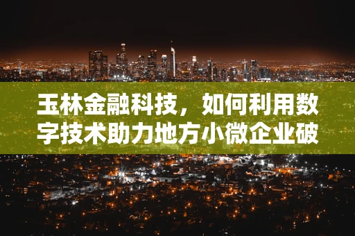 玉林金融科技，如何利用数字技术助力地方小微企业破局？