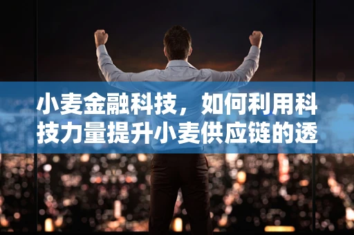 小麦金融科技，如何利用科技力量提升小麦供应链的透明度与效率？