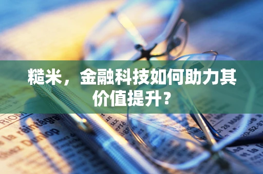 糙米，金融科技如何助力其价值提升？