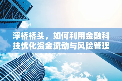 浮桥桥头，如何利用金融科技优化资金流动与风险管理？