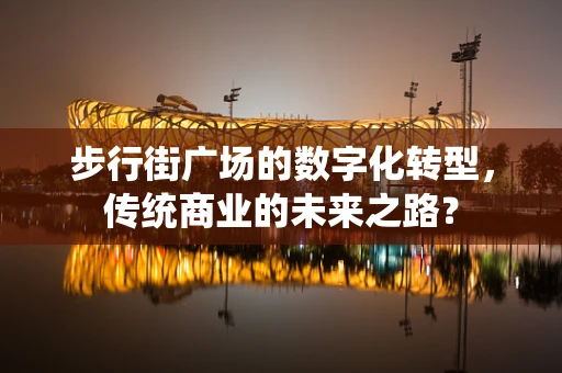 步行街广场的数字化转型，传统商业的未来之路？