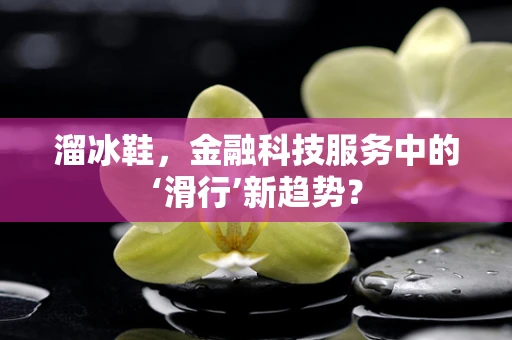 溜冰鞋，金融科技服务中的‘滑行’新趋势？