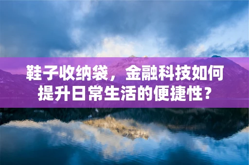 鞋子收纳袋，金融科技如何提升日常生活的便捷性？