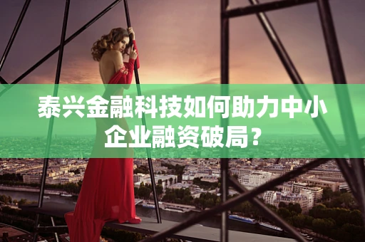泰兴金融科技如何助力中小企业融资破局？