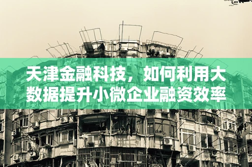 天津金融科技，如何利用大数据提升小微企业融资效率？