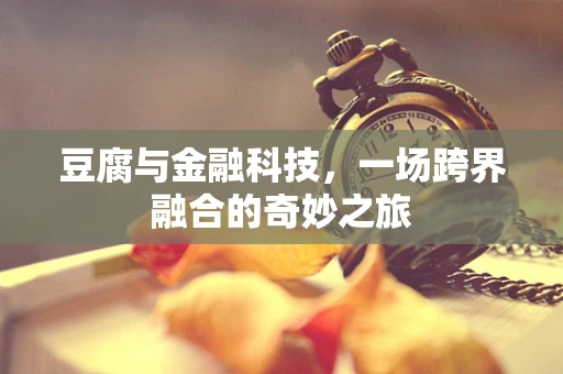 豆腐与金融科技，一场跨界融合的奇妙之旅