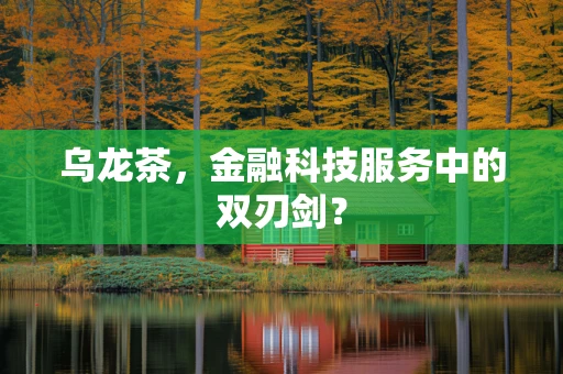 乌龙茶，金融科技服务中的双刃剑？