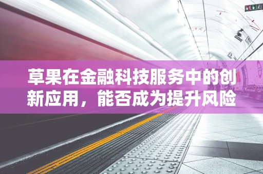 草果在金融科技服务中的创新应用，能否成为提升风险管理的新利器？