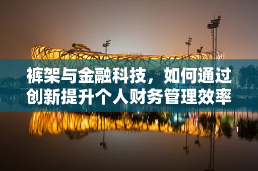 裤架与金融科技，如何通过创新提升个人财务管理效率？