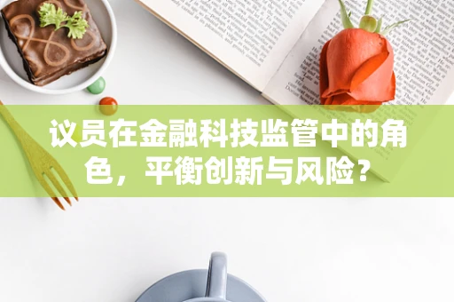 议员在金融科技监管中的角色，平衡创新与风险？