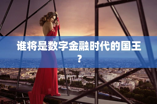 谁将是数字金融时代的国王？