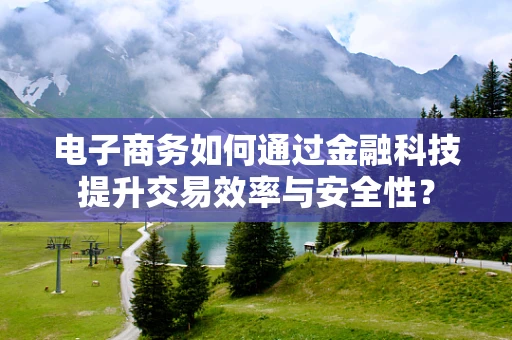 电子商务如何通过金融科技提升交易效率与安全性？