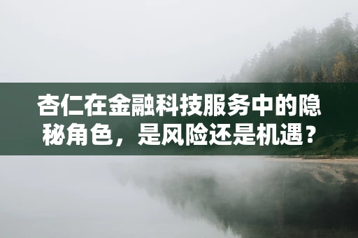 杏仁在金融科技服务中的隐秘角色，是风险还是机遇？