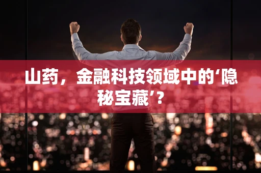 山药，金融科技领域中的‘隐秘宝藏’？