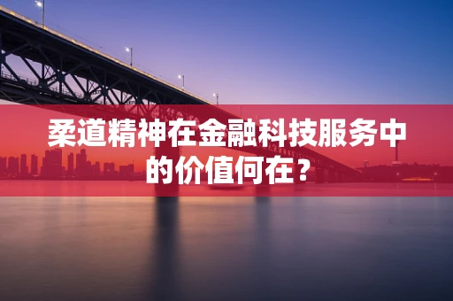 柔道精神在金融科技服务中的价值何在？