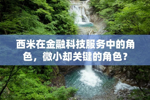 西米在金融科技服务中的角色，微小却关键的角色？