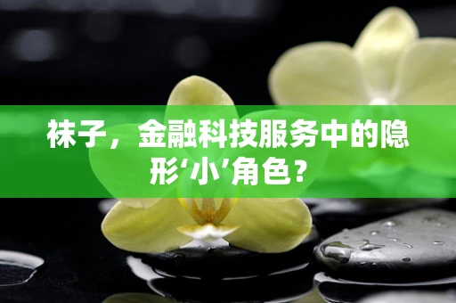 袜子，金融科技服务中的隐形‘小’角色？