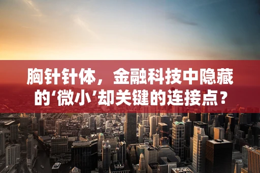 胸针针体，金融科技中隐藏的‘微小’却关键的连接点？