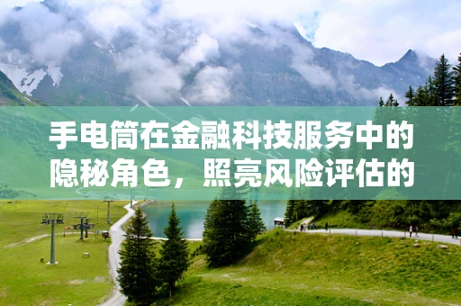 手电筒在金融科技服务中的隐秘角色，照亮风险评估的暗角？