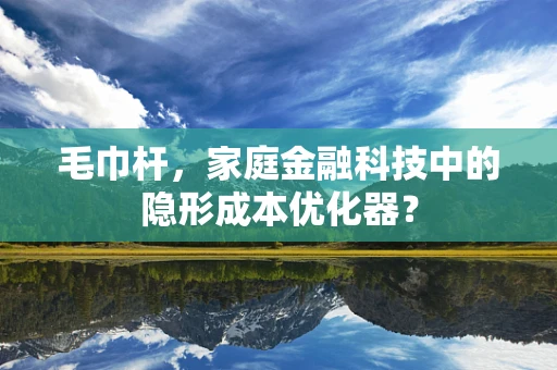 毛巾杆，家庭金融科技中的隐形成本优化器？