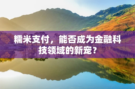 糯米支付，能否成为金融科技领域的新宠？