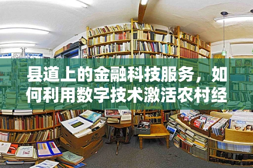 县道上的金融科技服务，如何利用数字技术激活农村经济的‘毛细血管’?