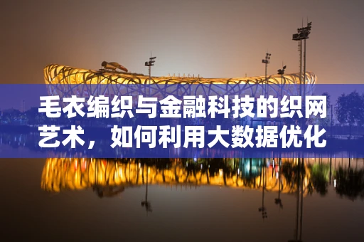 毛衣编织与金融科技的织网艺术，如何利用大数据优化供应链管理？