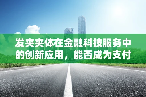 发夹夹体在金融科技服务中的创新应用，能否成为支付安全的新防线？