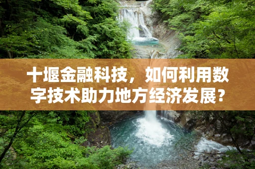 十堰金融科技，如何利用数字技术助力地方经济发展？