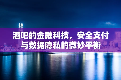 酒吧的金融科技，安全支付与数据隐私的微妙平衡