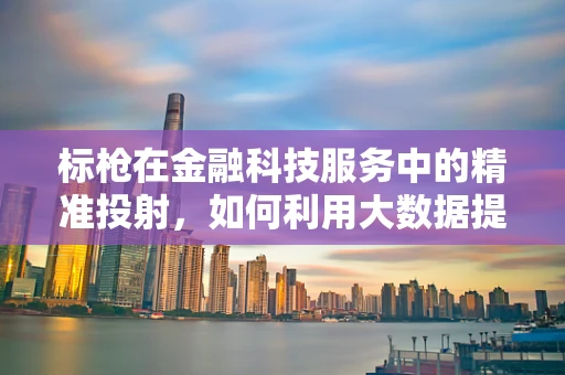 标枪在金融科技服务中的精准投射，如何利用大数据提高风险管理效率？
