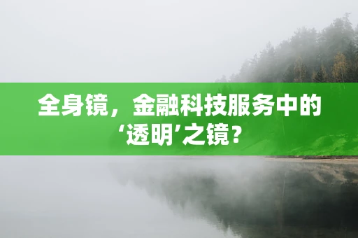 全身镜，金融科技服务中的‘透明’之镜？
