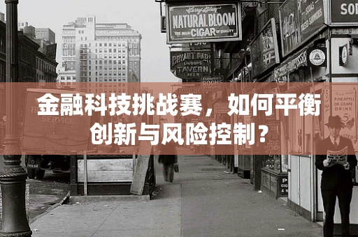 金融科技挑战赛，如何平衡创新与风险控制？