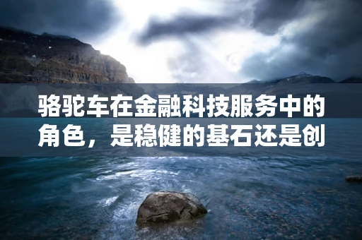 骆驼车在金融科技服务中的角色，是稳健的基石还是创新的催化剂？